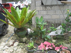 flower garden by elders apartment in Lamac