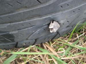The piece of metal that flattened the tire that required the change that caused the hernia.